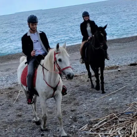 Lejlighed Seal Of Knight - Castle View - Downtown Near The Rhodes City